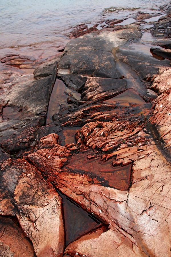 Collins Inlet Rocky Shore by Deb Oppermann